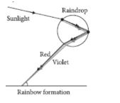 CBSE-Class-10-Science-Human-Eye-and-Colorful-World-Assignment-Set-E-2