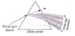 CBSE-Class-10-Science-Human-Eye-and-Colorful-World-Assignment-Set-E-5