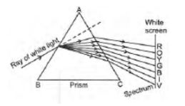 CBSE-Class-10-Science-Human-Eye-and-Colorful-World-Assignment-Set-F-1