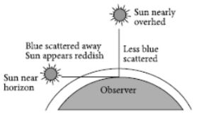 CBSE-Class-10-Science-Human-Eye-and-Colorful-World-Assignment-Set-F-12