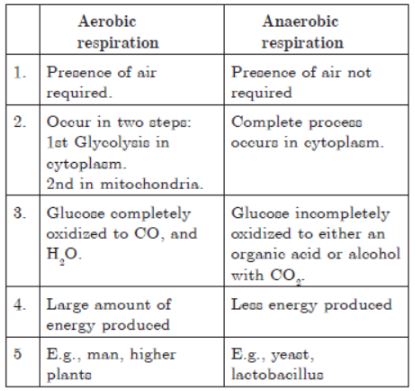 CBSE-Class-10-Science-Life-Processes-Assignment-Set-D-3