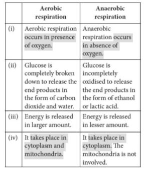 CBSE-Class-10-Science-Life-Processes-Assignment-Set-D-9