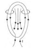 CBSE-Class-10-Science-Magnetic-Effects-of-Electric-Current-Assignment-Set-F-10