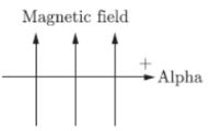CBSE-Class-10-Science-Magnetic-Effects-of-Electric-Current-Assignment-Set-H-3