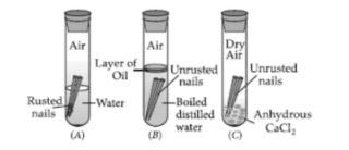 CBSE-Class-10-Science-Metals-and-Non-Metals-Assignment-Set-C-1