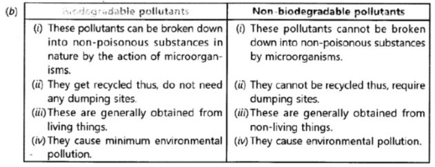 CBSE-Class-10-Science-Our-Environment-Assignment-Set-E-3