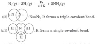 CBSE-Class-10-Science-Periodic-Classification-Of-Elements-Assignment-Set-C-2
