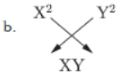 CBSE-Class-10-Science-Periodic-Classification-Of-Elements-Assignment-Set-E-1