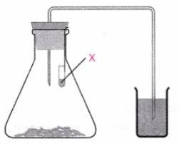 CBSE-Class-10-Science-Practical-Based-MCQs