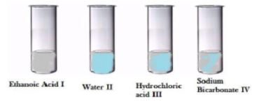 CBSE-Class-10-Science-Practical-Based-Questions-Worksheet-Set-A-1