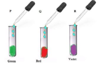 CBSE-Class-10-Science-Practical-Based-Questions-Worksheet-Set-A-3