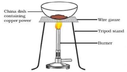 CBSE-Class-10-Science-Practical-Based-Questions-Worksheet-Set-A