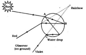 CBSE-Class-10-Science-The-Human-Eye-And-The-Colourful-World-Notes-Set-B-2