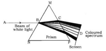 CBSE-Class-10-Science-The-Human-Eye-And-The-Colourful-World-Notes-Set-B-4
