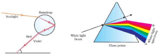 CBSE-Class-10-Science-The-Human-Eye-And-The-Colourful-World-Notes-Set-B-5