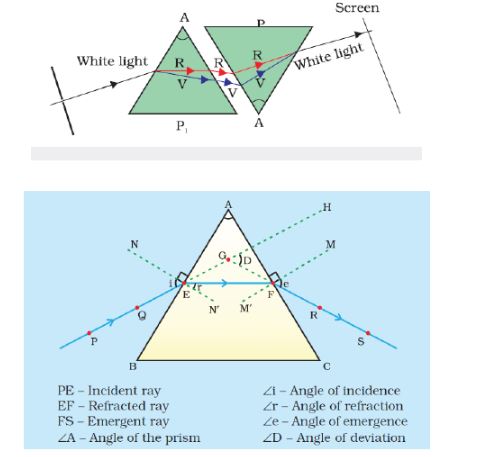 CBSE-Class-10-Science-The-Human-Eye-And-The-Colourful-World-Notes-Set-B-6