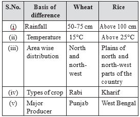 CBSE-Class-10-Social-Science-Agriculture-Assignment-Set-B-1