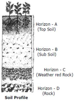 CBSE-Class-10-Social-Science-Agriculture-Notes-Set-B