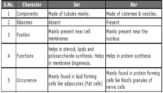 CBSE-Class-10-Social-Science-Democracy-And-Diversity-Notes-Set-B-1