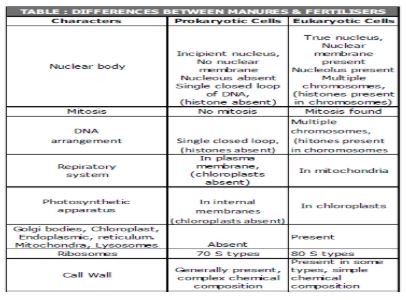 CBSE-Class-10-Social-Science-Federalism-Notes-Set-B-4