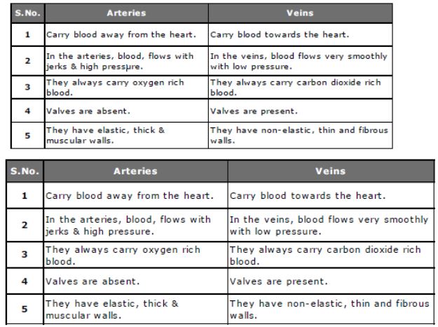 CBSE-Class-10-Social-Science-Forest-and-Wild-Life-Resources-Assignment-Set-C