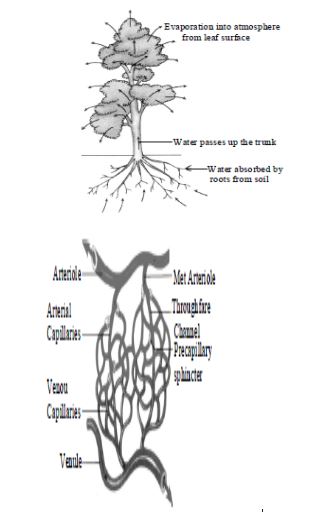 CBSE-Class-10-Social-Science-Resources-And-Development-Notes-Set-B