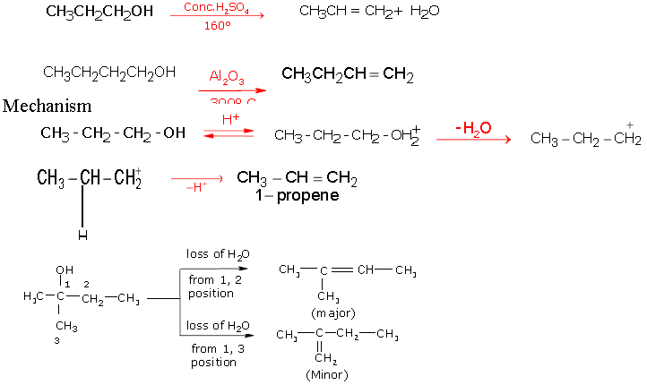 CBSE-Class-11-Chemistry-Hydrocarbon-Notes-Set-D-22