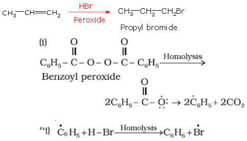 CBSE-Class-11-Chemistry-Hydrocarbon-Notes-Set-D-25