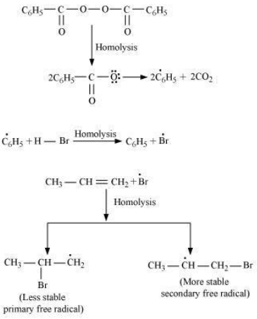 CBSE-Class-11-Chemistry-Hydrocarbon-Notes-Set-D-55