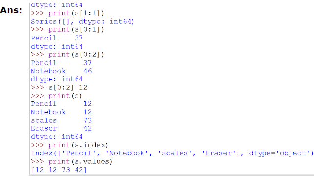 CBSE-Class-11-Information-Practices-Introducing-Python-Pandas-Worksheet-13