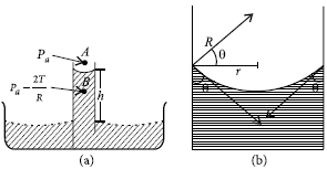 CBSE-Class-11-Physics-Mechanical-Properties-Of-Fluids-Worksheet-Set-D-23