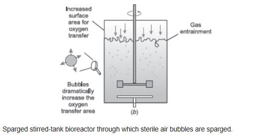 CBSE-Class-12-Biology-Biotechnology-Principles-and-Processes-Assignment-Set-C-1