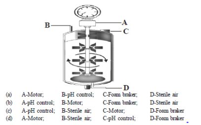 CBSE-Class-12-Biology-Biotechnology-Principles-and-Processes-Assignment-Set-C-3