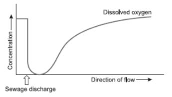 CBSE-Class-12-Biology-Environmental-Issues-Assignment-Set-C-2