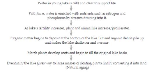 CBSE-Class-12-Biology-Environmental-Issues-Assignment-Set-C