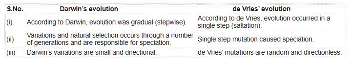 CBSE-Class-12-Biology-Evolution-Assignment-Set-C-2