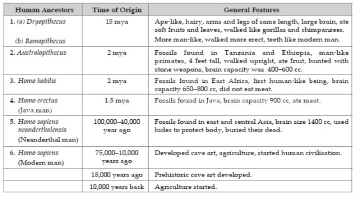 CBSE-Class-12-Biology-Evolution-Assignment-Set-C-3