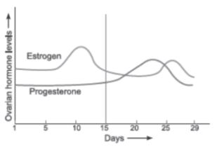 CBSE-Class-12-Biology-Human-Reproduction-Assignment-Set-C-2