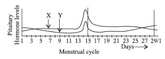 CBSE-Class-12-Biology-Human-Reproduction-Assignment-Set-D-4