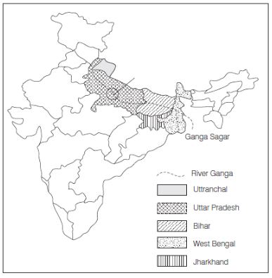 CBSE-Class-12-Biology-Microbes-in-Human-Welfare-Assignment-Set-D-1