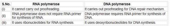 CBSE-Class-12-Biology-Molecular-Basis-of-Inheritance-Assignment-Set-C-7