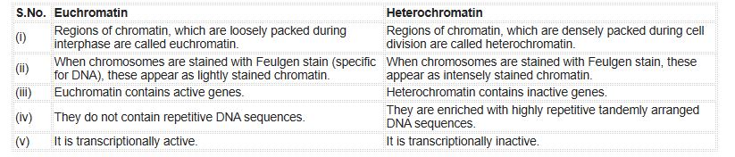 CBSE-Class-12-Biology-Molecular-Basis-of-Inheritance-Assignment-Set-C-8