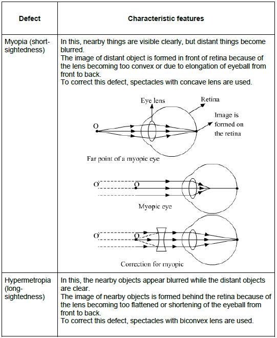 CBSE-Class-12-Biology-Nervous-System-Notes-15