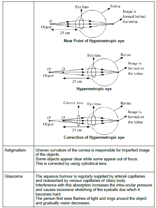 CBSE-Class-12-Biology-Nervous-System-Notes-16