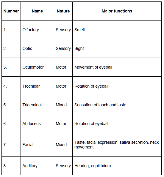 CBSE-Class-12-Biology-Nervous-System-Notes-7