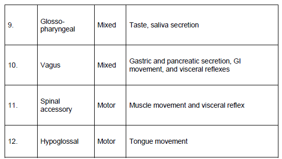 CBSE-Class-12-Biology-Nervous-System-Notes-8