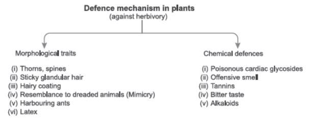 CBSE-Class-12-Biology-Organisms-and-Populations-Assignment-Set-C-2