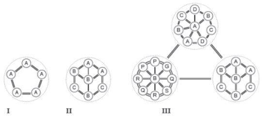 CBSE-Class-12-Biology-Organisms-and-Populations-Assignment-Set-C-3