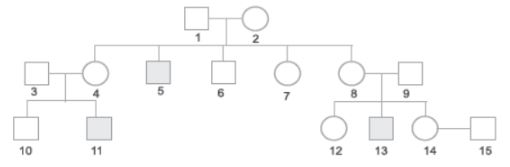 CBSE-Class-12-Biology-Principles-of-Inheritance-and-Variation-Assignment-Set-C-11