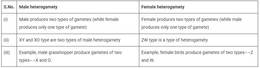 CBSE-Class-12-Biology-Principles-of-Inheritance-and-Variation-Assignment-Set-C-13